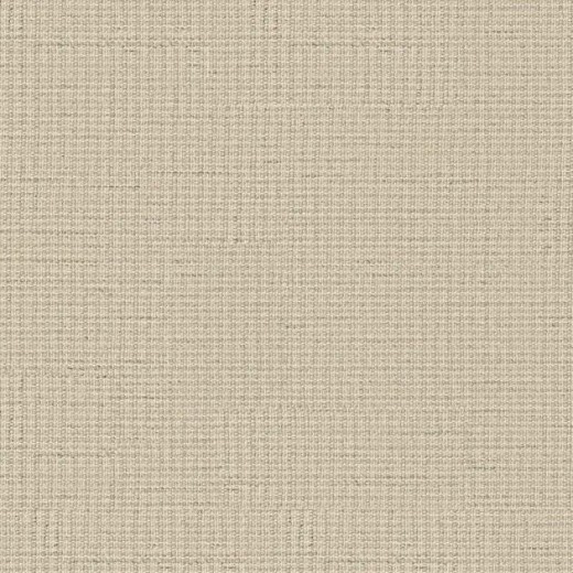 Custom Wired Conch, 100% Wool Area Rug