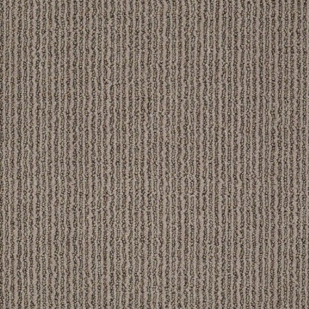 By Chance Simply Taupe Carpet, 100% Anso Nylon