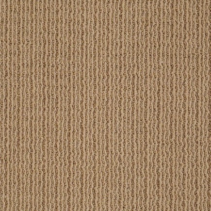 By Chance Tiger Eye Carpet, 100% Anso Nylon