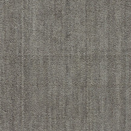 Grand Velvet Grey Carpet, 100% New Zealand Wool