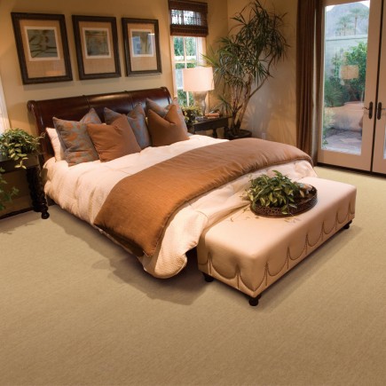 Grand Velvet Brush Carpet, 100% New Zealand Wool