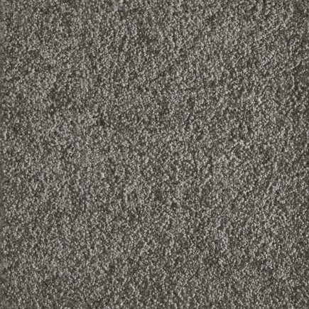 Jazzy Pewter Carpet, 100% Super Soft Nylon