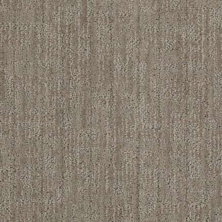 La Sirena II Demure Taupe Carpet, 100% Stainmaster Nylon