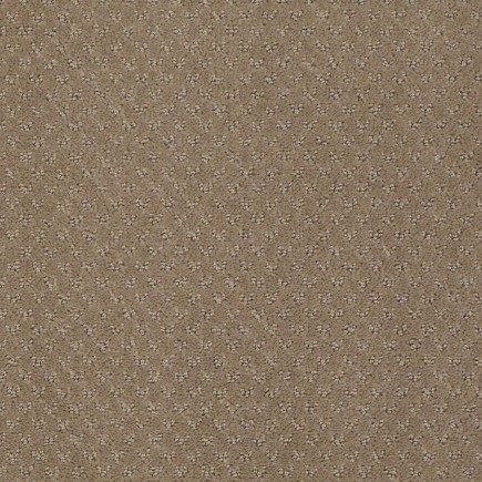 Mar Vista Mystic Brown Carpet, 100% R2X Nylon