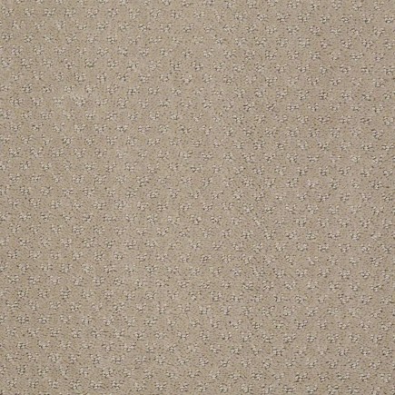 Mar Vista Owl Carpet, 100% R2X Nylon