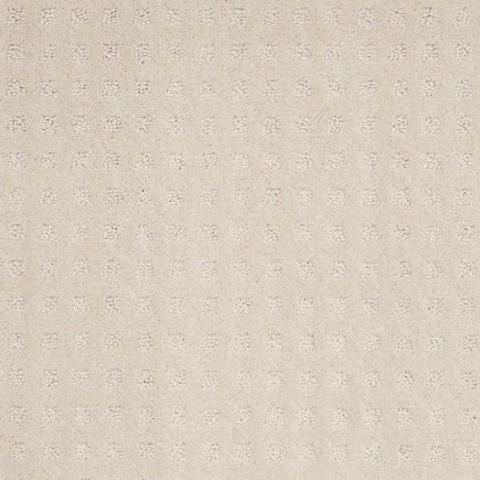 Mission Square Mild Ivory Carpet, 100% R2X Nylon