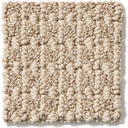 Moondance Neutral Ground Carpet, 100% Anso Caress Nylon