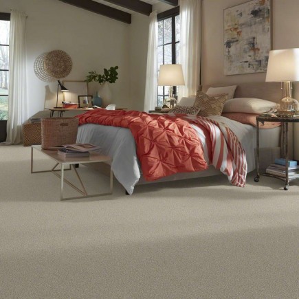 On Point Driftwood Carpet, 100% Stainmaster Sd Nylon Pet Protect