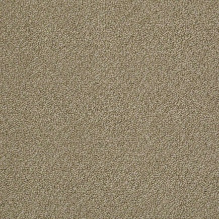 On Point Suede Carpet, 100% Stainmaster Sd Nylon Pet Protect