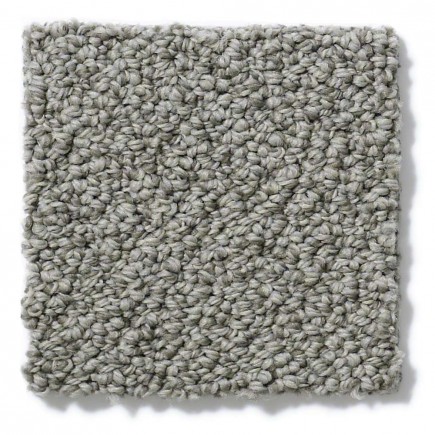 On Point Tundra Carpet, 100% Stainmaster Sd Nylon Pet Protect