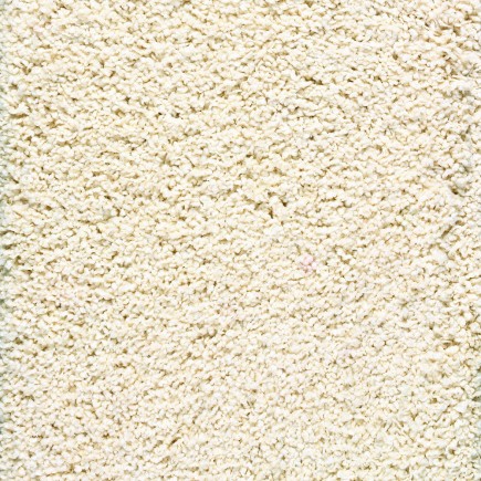 Shaggy Luxe Ivory Carpet, 100% Woven SD Polypropylene