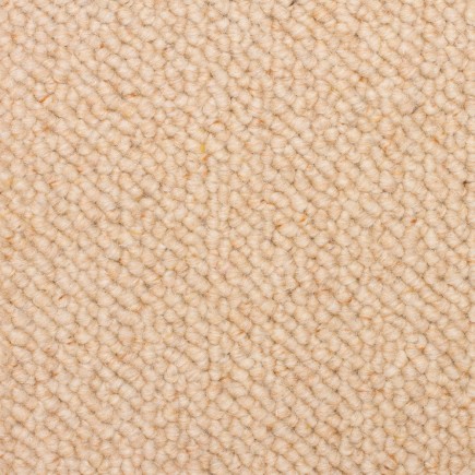 Troy Doeskin Carpet, 100% Wool