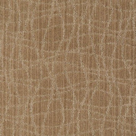 Twist Fine Grain Carpet, 100% Stainmaster Nylon