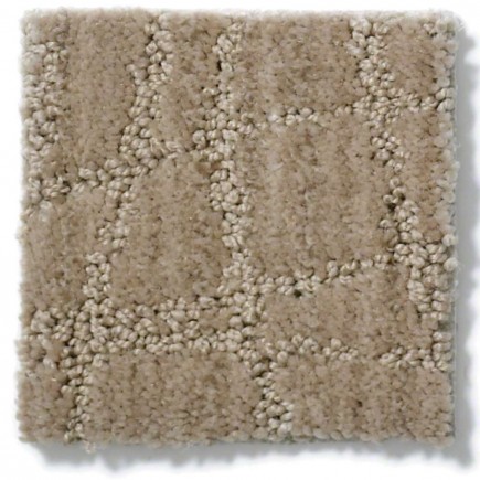 Twist Miners Dust Carpet, 100% Stainmaster Nylon