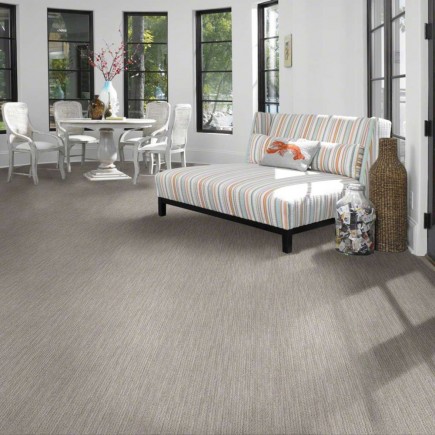 Via Lido Demure Taupe Carpet, 100% Stainmaster Nylon