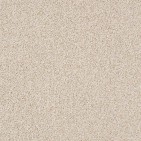 Bali Birch Carpet, 100% Stainmaster Luxerelle Nylon