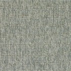 Bonaire Pewter Carpet, 100% Polypropylene