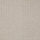 By Chance Cement Carpet, 100% Anso Nylon