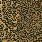 Cape Town Leopard Carpet, 100% Nylon 