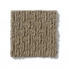 Casual Life Cottage Stone Carpet, 100% Anso Nylon