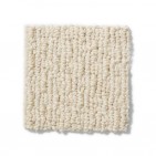 Casual Life Dream Dust Carpet, 100% Anso Nylon