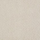 Cathedral Hill Brushed Ivory Carpet, 100% R2X Nylon