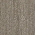 La Sirena II Demure Taupe Carpet, 100% Stainmaster Nylon