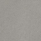 Mar Vista Ash Mist Carpet, 100% R2X Nylon