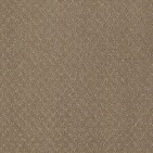 Mar Vista Mystic Brown Carpet, 100% R2X Nylon