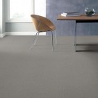 Mar Vista Alpine Lace Carpet, 100% R2X Nylon