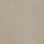 Mar Vista Shy Beige Carpet, 100% R2X Nylon