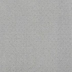 Mar Vista Silver Fox Carpet, 100% R2X Nylon
