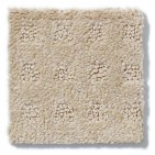 Mission Square Honey Beige Carpet, 100% R2X Nylon