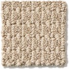 Moondance Neutral Ground Carpet, 100% Anso Caress Nylon