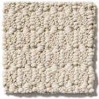 Moondance Soft Ivory Carpet, 100% Anso Caress Nylon