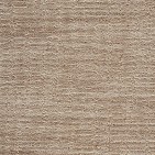 Novelty Tan Carpet, 100% Nylon