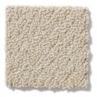 On Point Sandpiper Carpet, 100% Stainmaster Sd Nylon Pet Protect