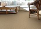 St. Kitts Bronze Carpet, 100% Polypropylene