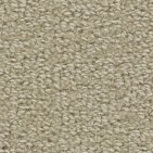 Wool Tip Shear II Canvas Carpet, 100% Wool