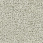 Wool Tip Shear II Magnolia Carpet, 100% Wool