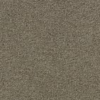 Wool Tip Shear II Suede Carpet, 100% Wool