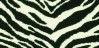 Cape Town Zebra Carpet, 100% Nylon 