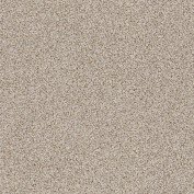 Bali Stucco Tan Carpet, 100% Stainmaster Luxerelle Nylon