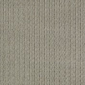 By Chance Atmosphere Carpet, 100% Anso Nylon