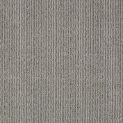 By Chance Titanium Carpet, 100% Anso Nylon