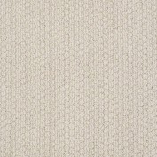 Cathedral Hill Brushed Ivory Carpet, 100% R2X Nylon