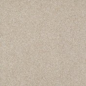 Hudson Falls Country Cream Carpet, 100% Stainmaster Nylon