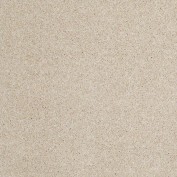 Hudson Falls Face Powder Carpet, 100% Stainmaster Nylon