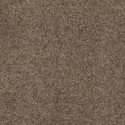 Hudson Falls Malted Crunch Carpet, 100% Stainmaster Nylon
