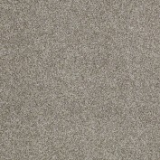 Hudson Falls Morning Fog Carpet, 100% Stainmaster Nylon